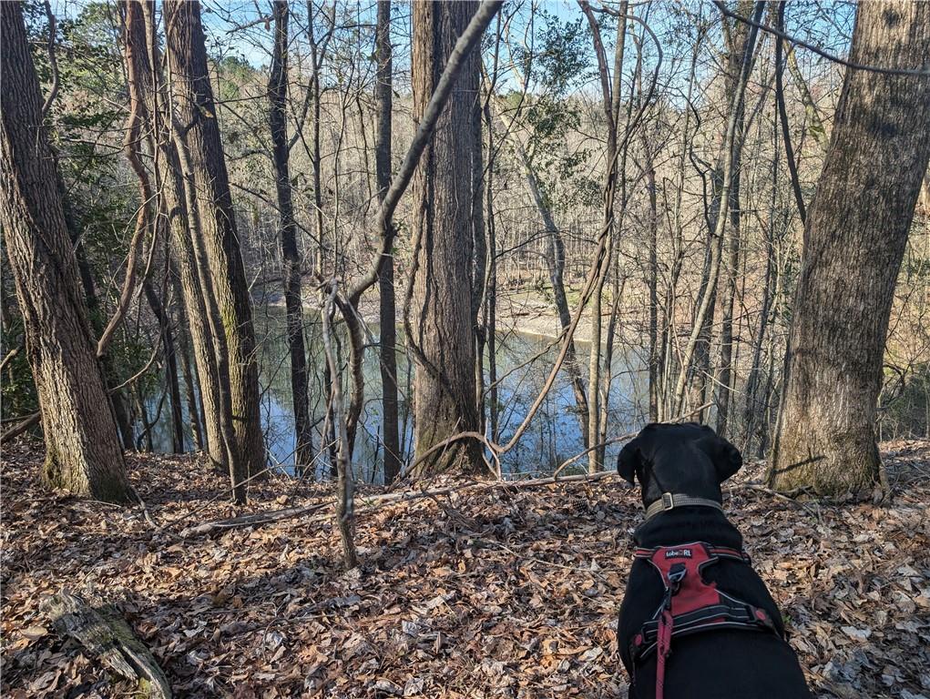 0 Parker Road Dry Branch, GA 31020 - Photo 2 of 8