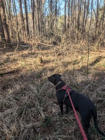 $79,900 | 0 Parker Road, Dry Branch, GA 31020