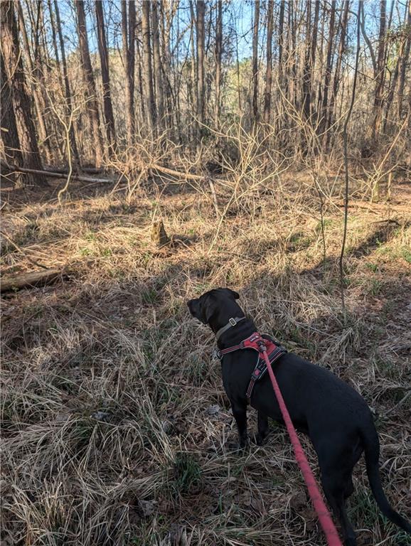 0 Parker Road Dry Branch, GA 31020 - Photo 5 of 8