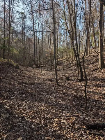 $79,900 | 0 Parker Road, Dry Branch, GA 31020