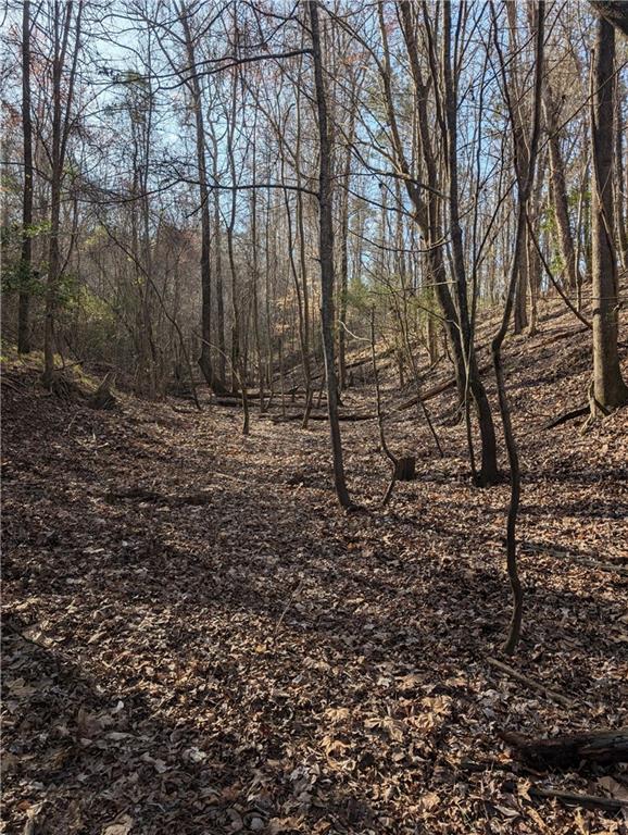 0 Parker Road Dry Branch, GA 31020 - Photo 6 of 8