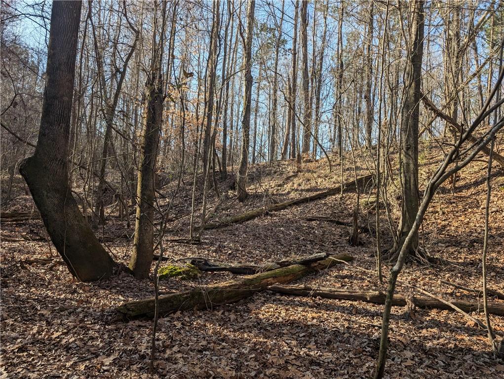 0 Parker Road Dry Branch, GA 31020 - Photo 7 of 8