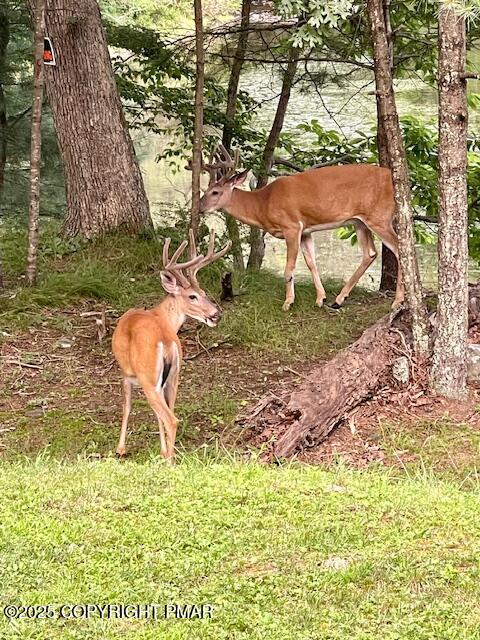 2146 Milford Road Bushkill, PA 18324 - Photo 38 of 54 2146 Milford Rd