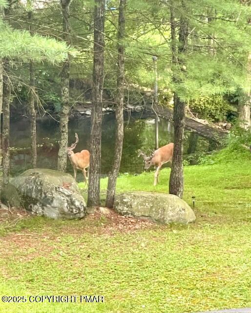 2146 Milford Road Bushkill, PA 18324 - Photo 39 of 54 2146 Milford Rd
