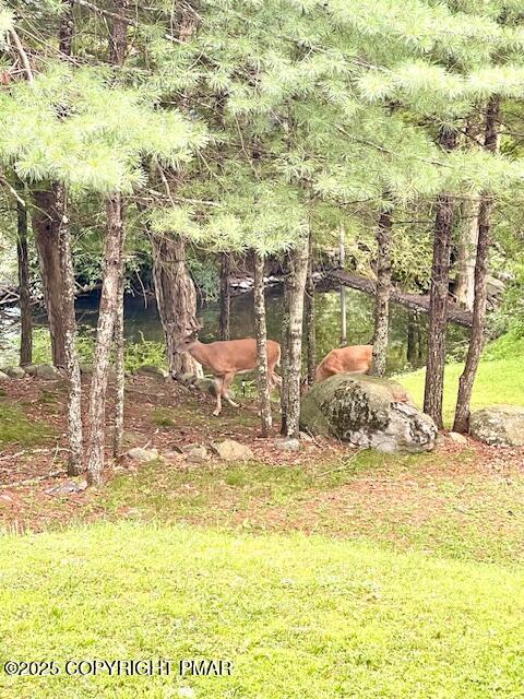 2146 Milford Road Bushkill, PA 18324 - Photo 54 of 54 2146 Milford Rd