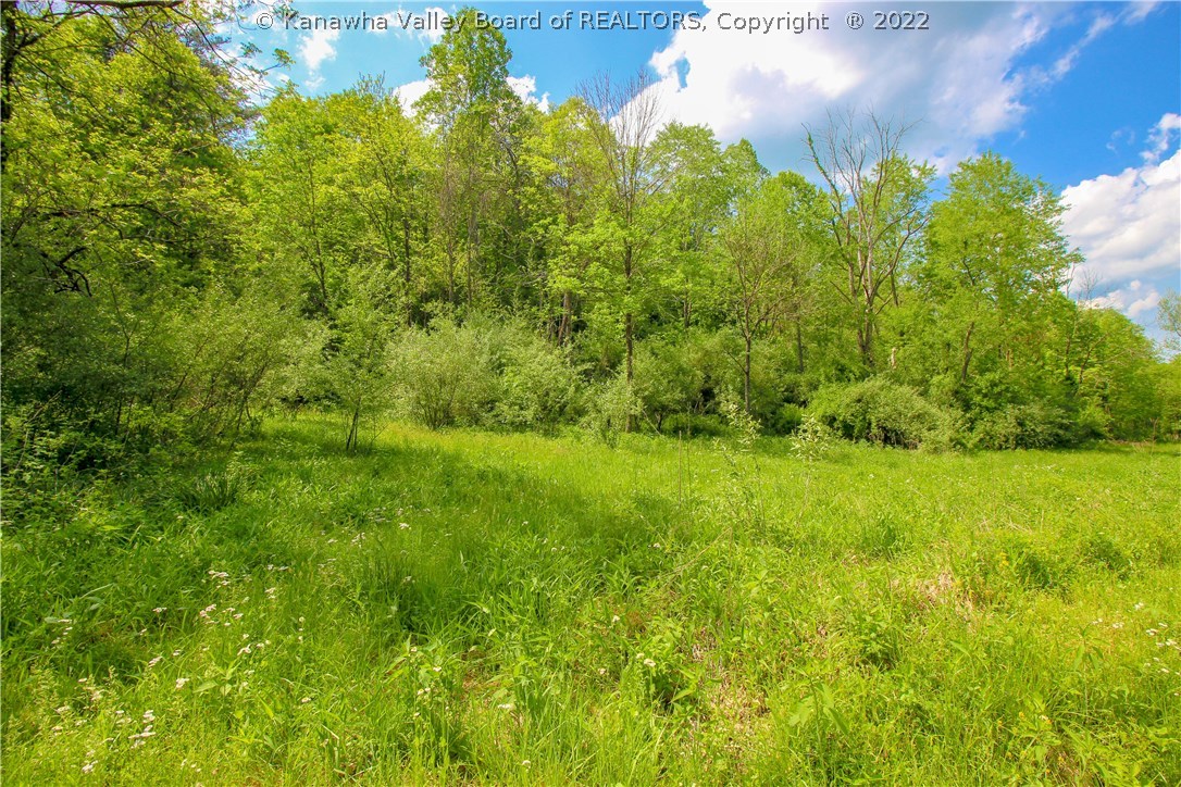 0 Arthur Road Liberty, WV 25124 - Photo 2 of 15 Gallery Image 2