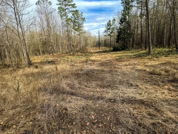 a view of outdoor space with trees