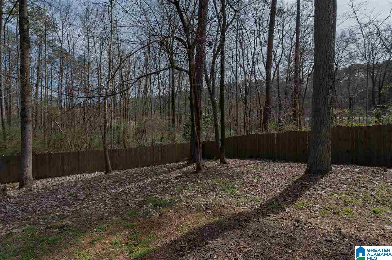 3 Stone Ridge Trail Birmingham, AL 35210 - Photo 36 of 36