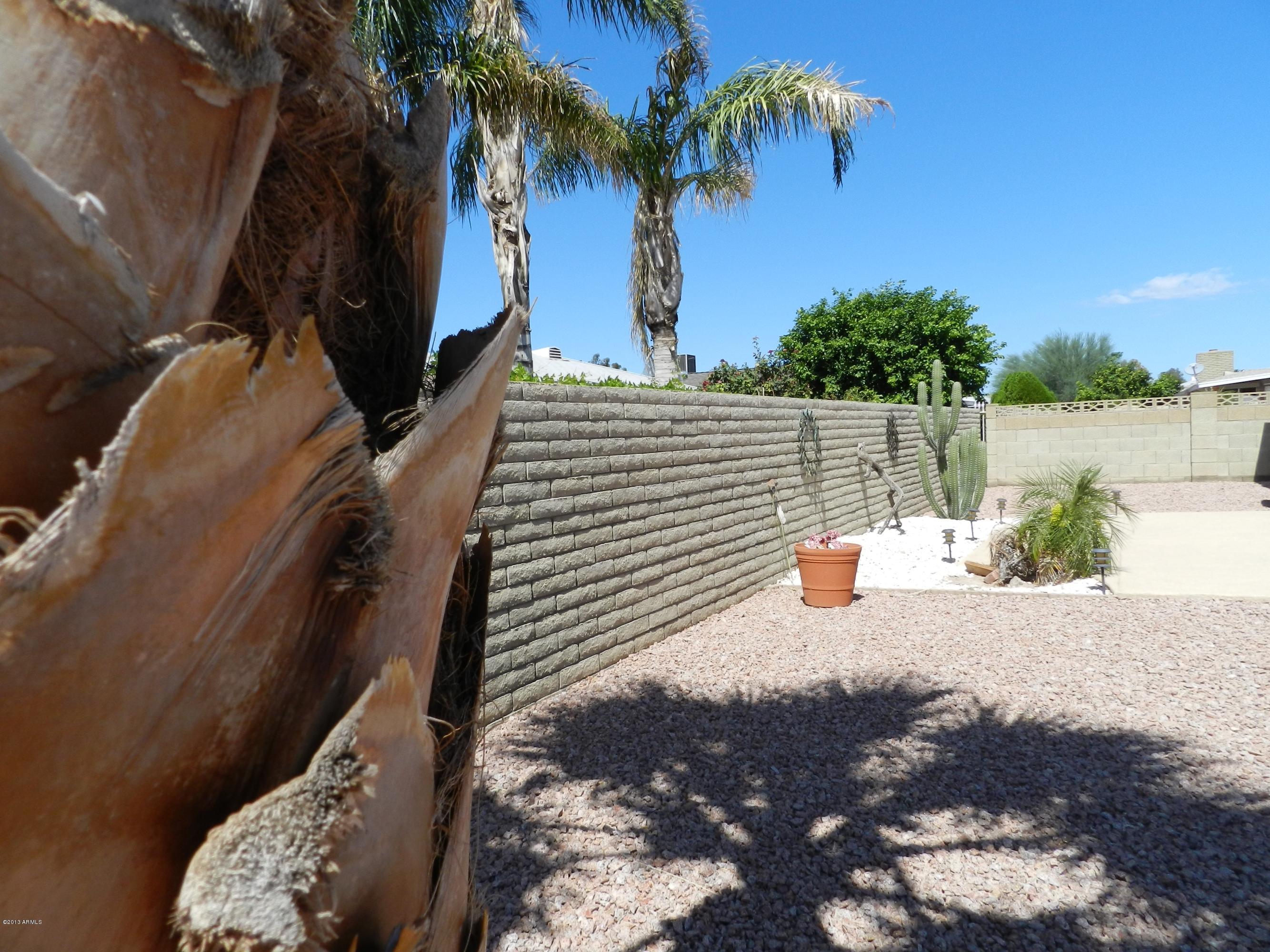1002 South Rochester Mesa, AZ 85206 - Photo 20 of 42 BACK YARD