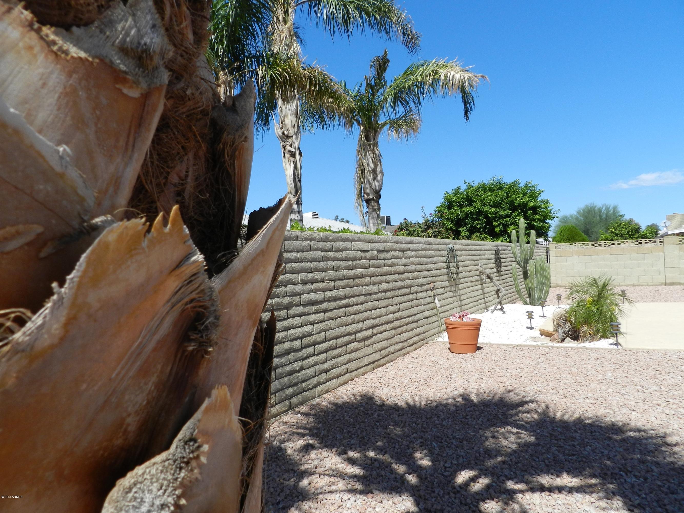 1002 South Rochester Mesa, AZ 85206 - Photo 21 of 42 BACK YARD