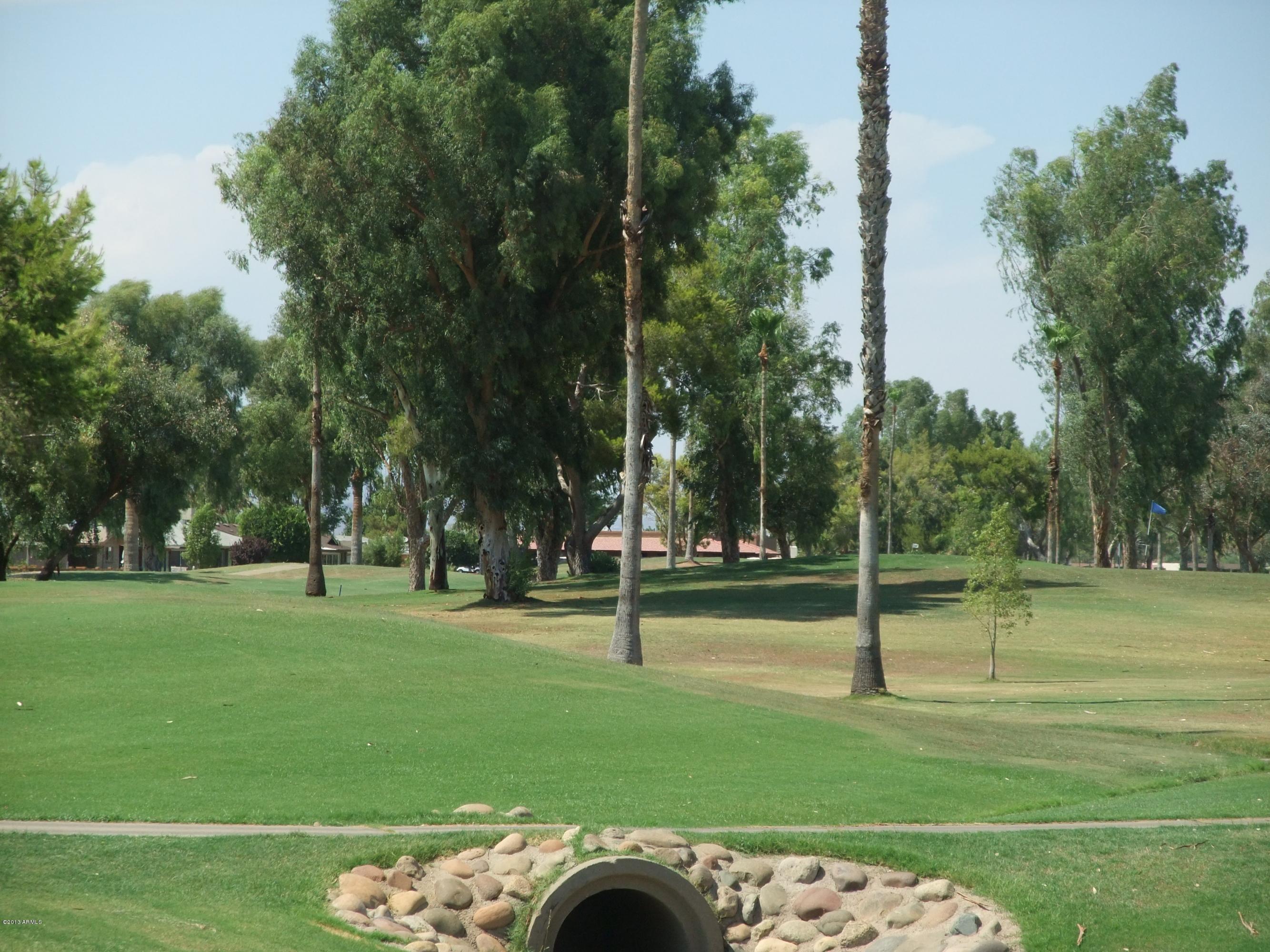 1002 South Rochester Mesa, AZ 85206 - Photo 29 of 42 GOLF COURSE
