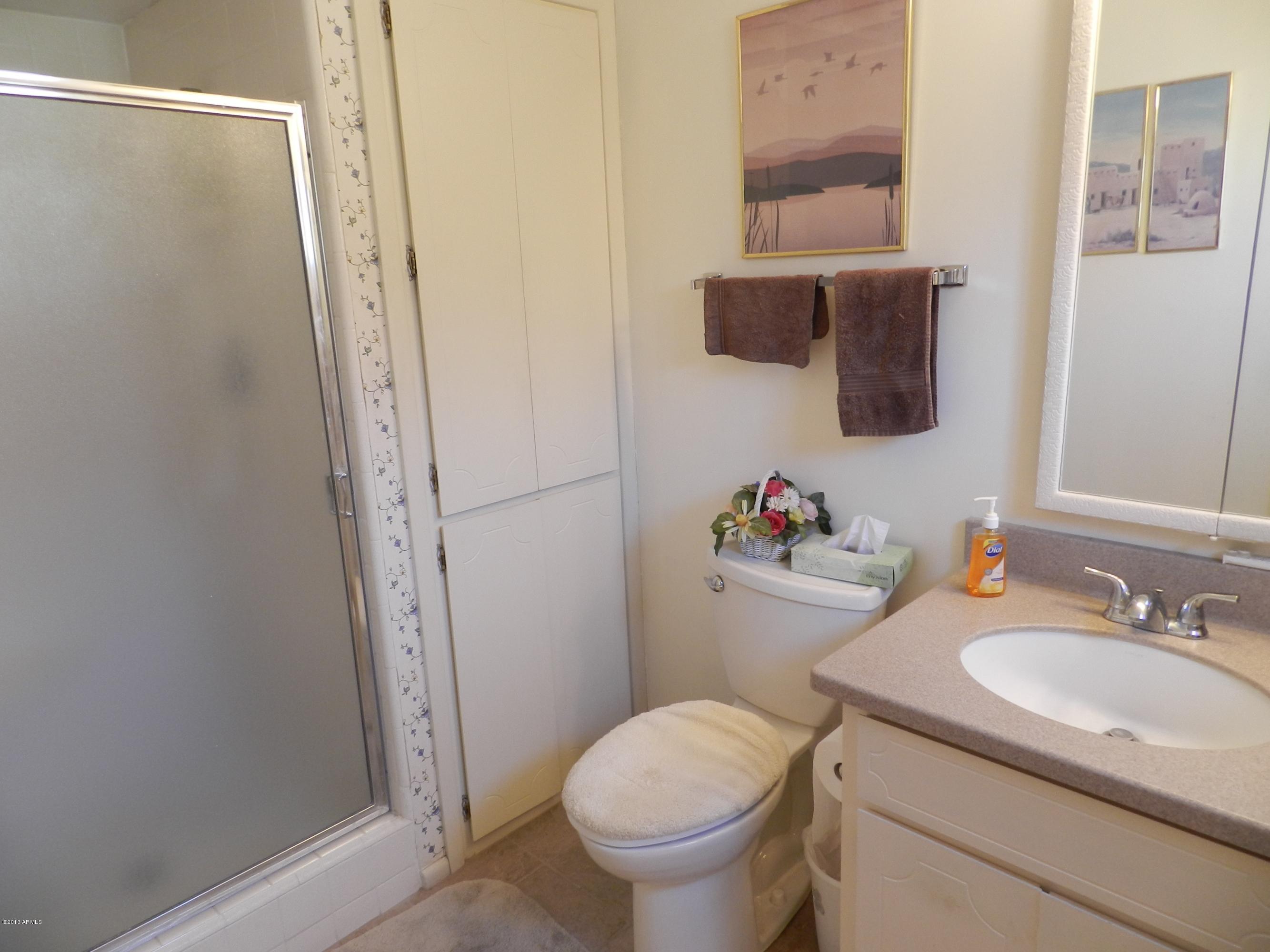 1002 South Rochester Mesa, AZ 85206 - Photo 9 of 42 MASTER BATH