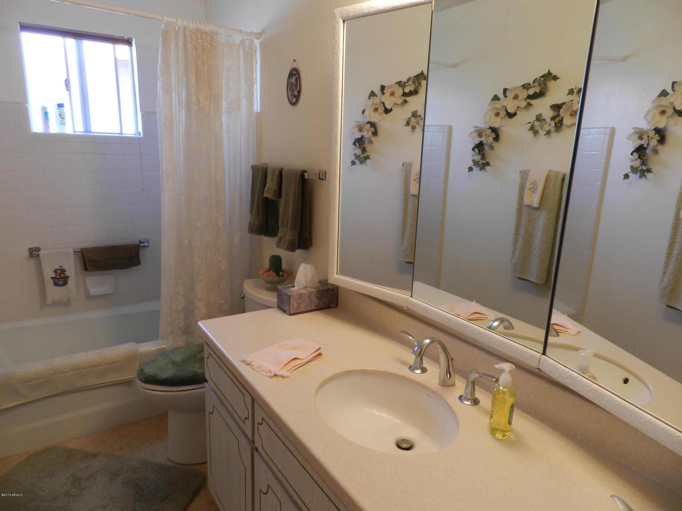 1002 South Rochester Mesa, AZ 85206 - Photo 10 of 42 MAIN BATH