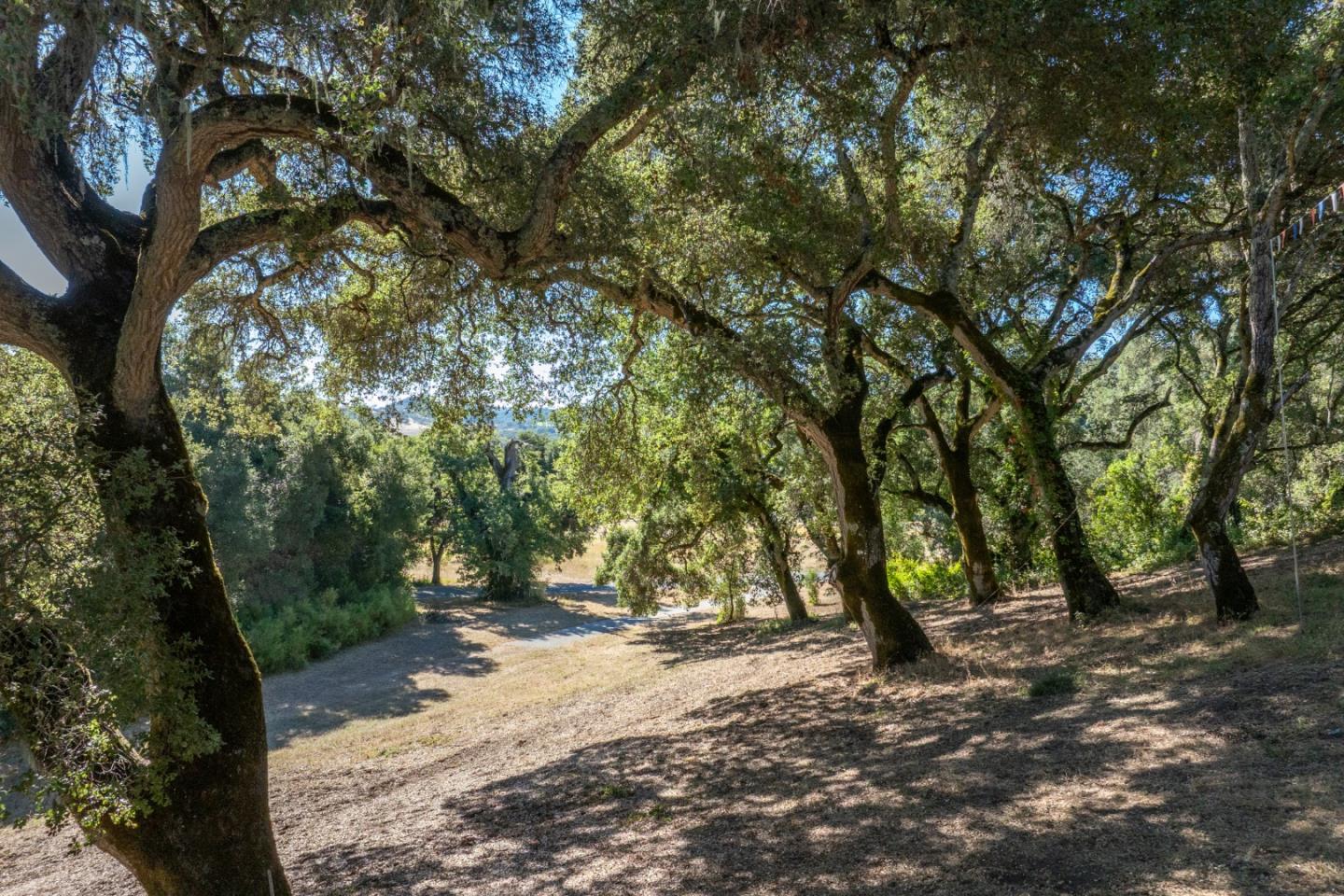 3 Rumsen Trace Carmel, CA 93923 - Photo 18 of 29 Gallery Image 18