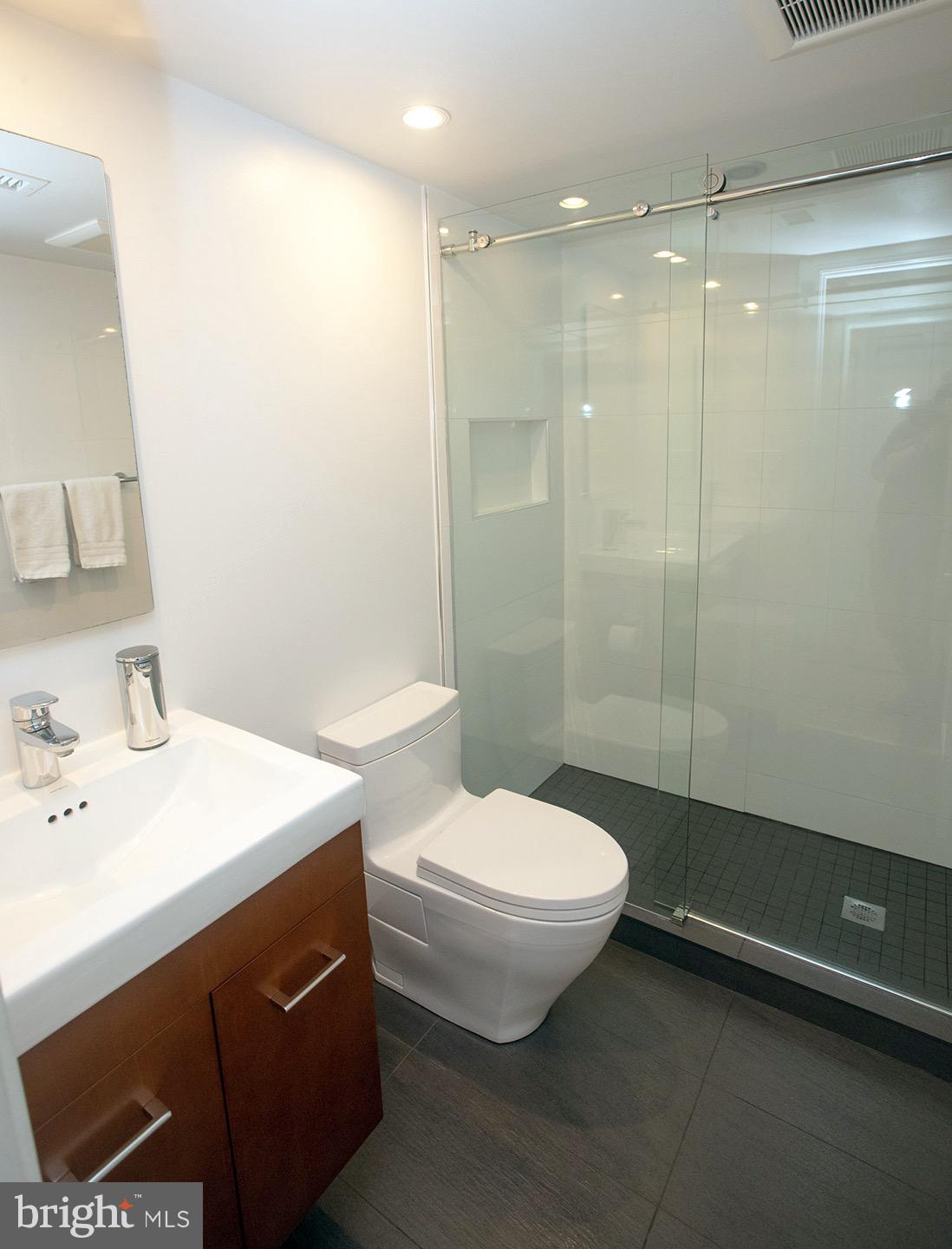 80 15th Street Northeast, Unit 80 Washington, DC 20002 - Photo 10 of 28 Renovated Euro Bathroom