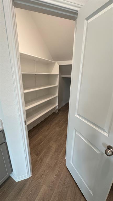 204 Inks Lane Kyle, TX 78640 - Photo 18 of 25 An organized pantry offers extensive built-in shelving, providing abundant storage space for kitchen essentials.