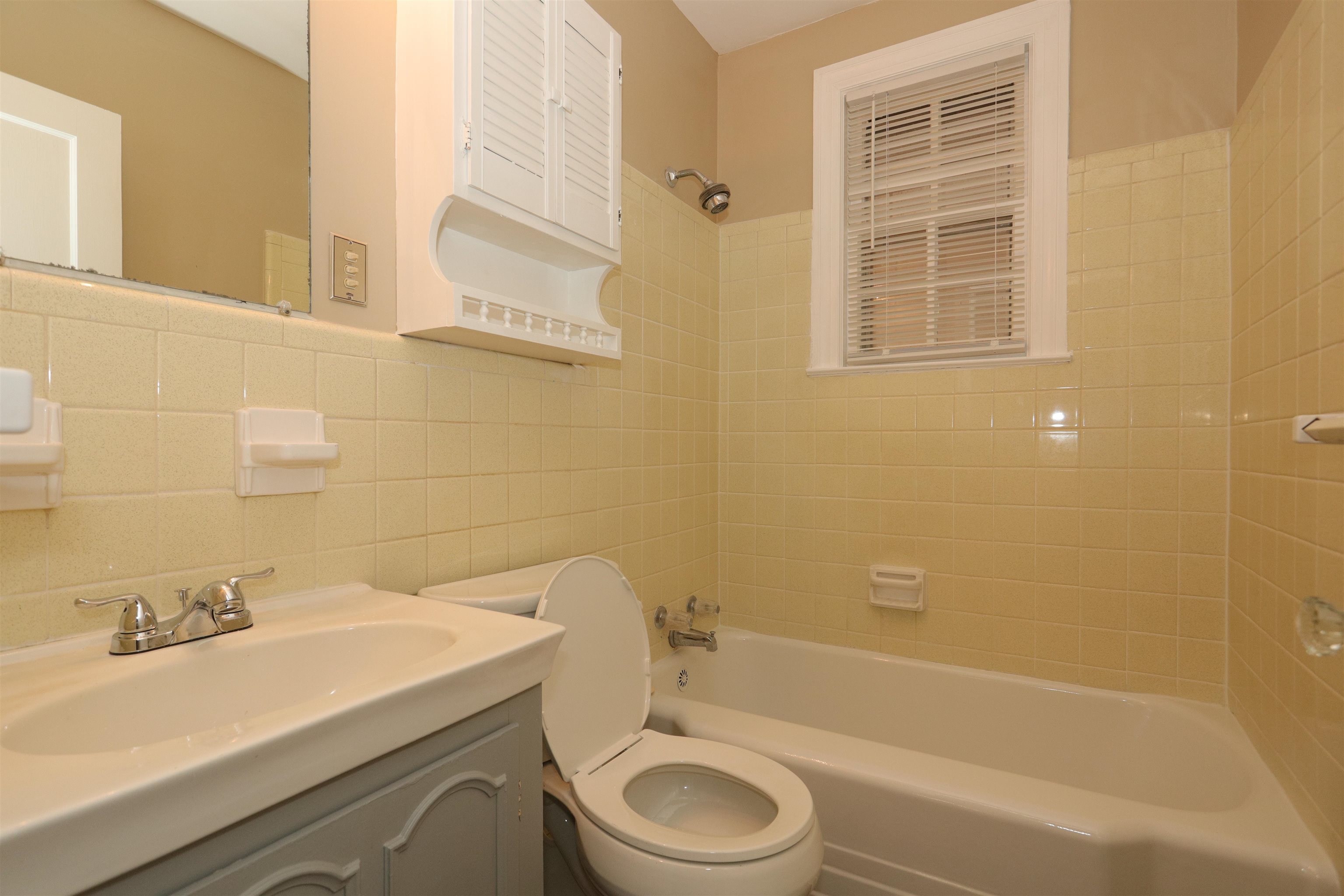 1042 Mosby Road Memphis, TN 38116 - Photo 20 of 21 a bathroom with a sink a toilet and bathtub