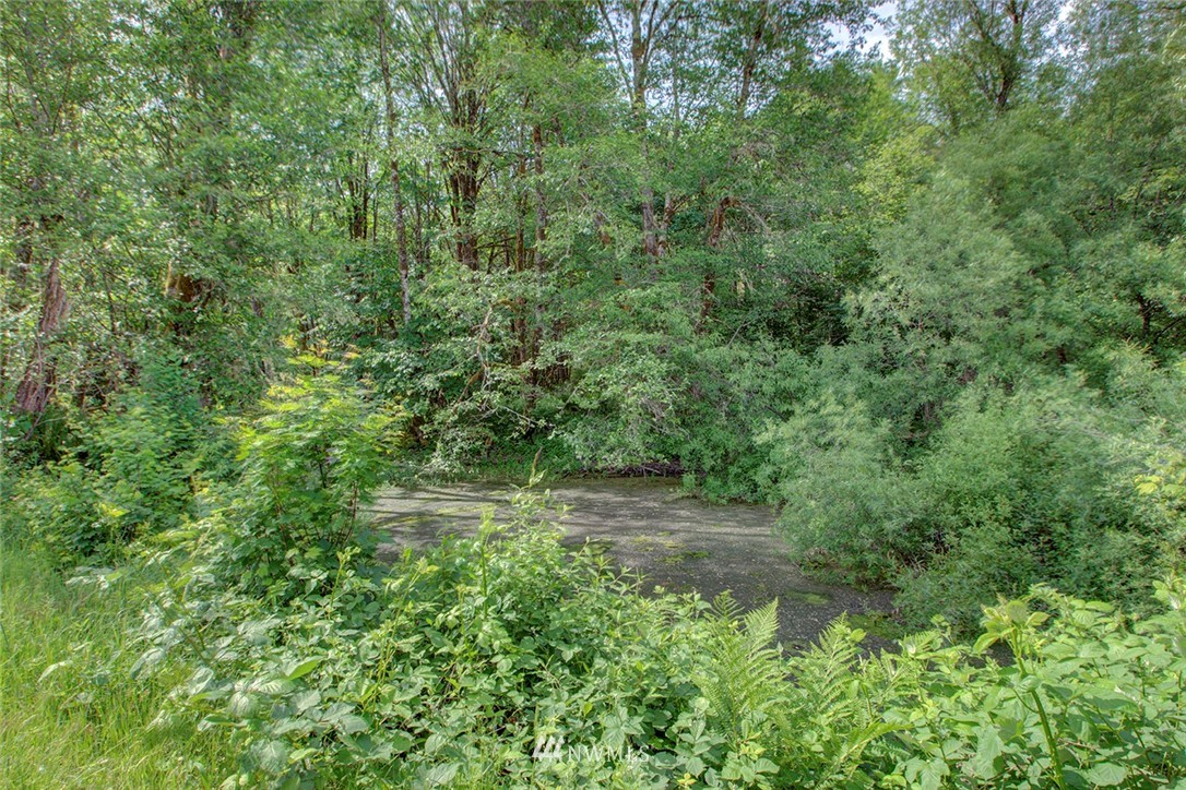 238 Oxbow Road Woodland, WA 98674 - Photo 21 of 25 Gallery Image 21