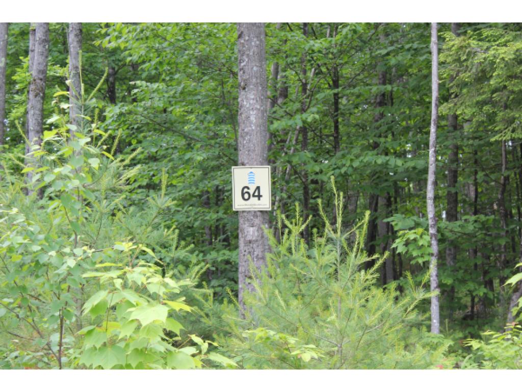 43 Yachtmen's Ridge Laconia, NH 03246 - Photo 6 of 17 Gallery Image 6