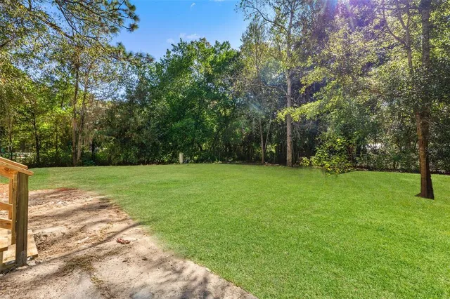 a view of a field with trees