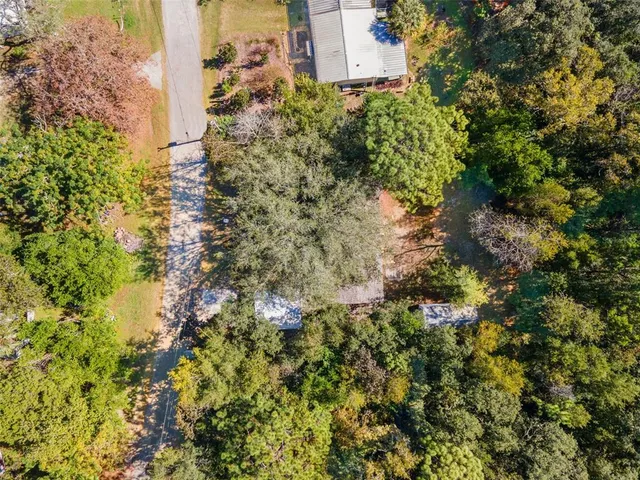 a close up of a house in a forest
