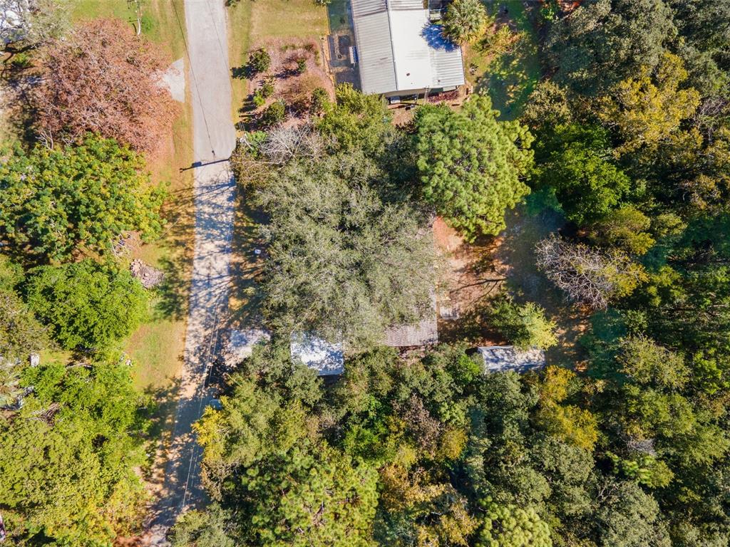 6718 West Pershing Drive Homosassa, FL 34448 - Photo 41 of 47 a close up of a house in a forest