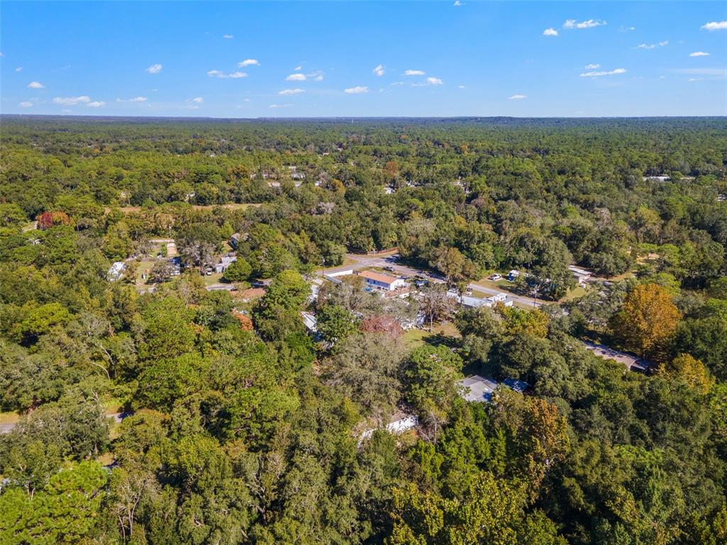 6718 West Pershing Drive Homosassa, FL 34448 - Photo 42 of 47 a view of a city with lush green forest