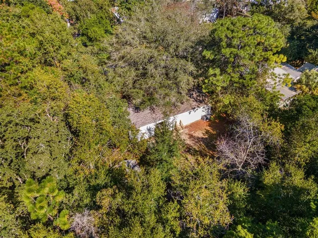 a view of a forest with an outdoor space