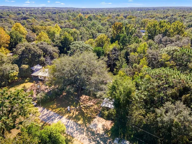 a view of a yard with plants and large trees