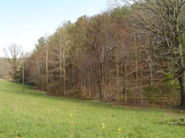 9814 Callaway Road Callaway, VA 24067 - Photo 2 of 14 a view of a backyard