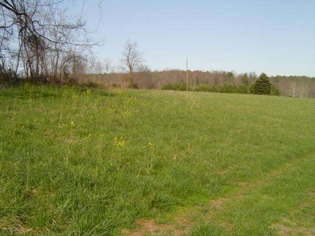 9814 Callaway Road Callaway, VA 24067 - Photo 3 of 14 a view of a lake view