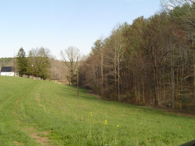 9814 Callaway Road Callaway, VA 24067 - Photo 5 of 14 a view of a yard with large trees