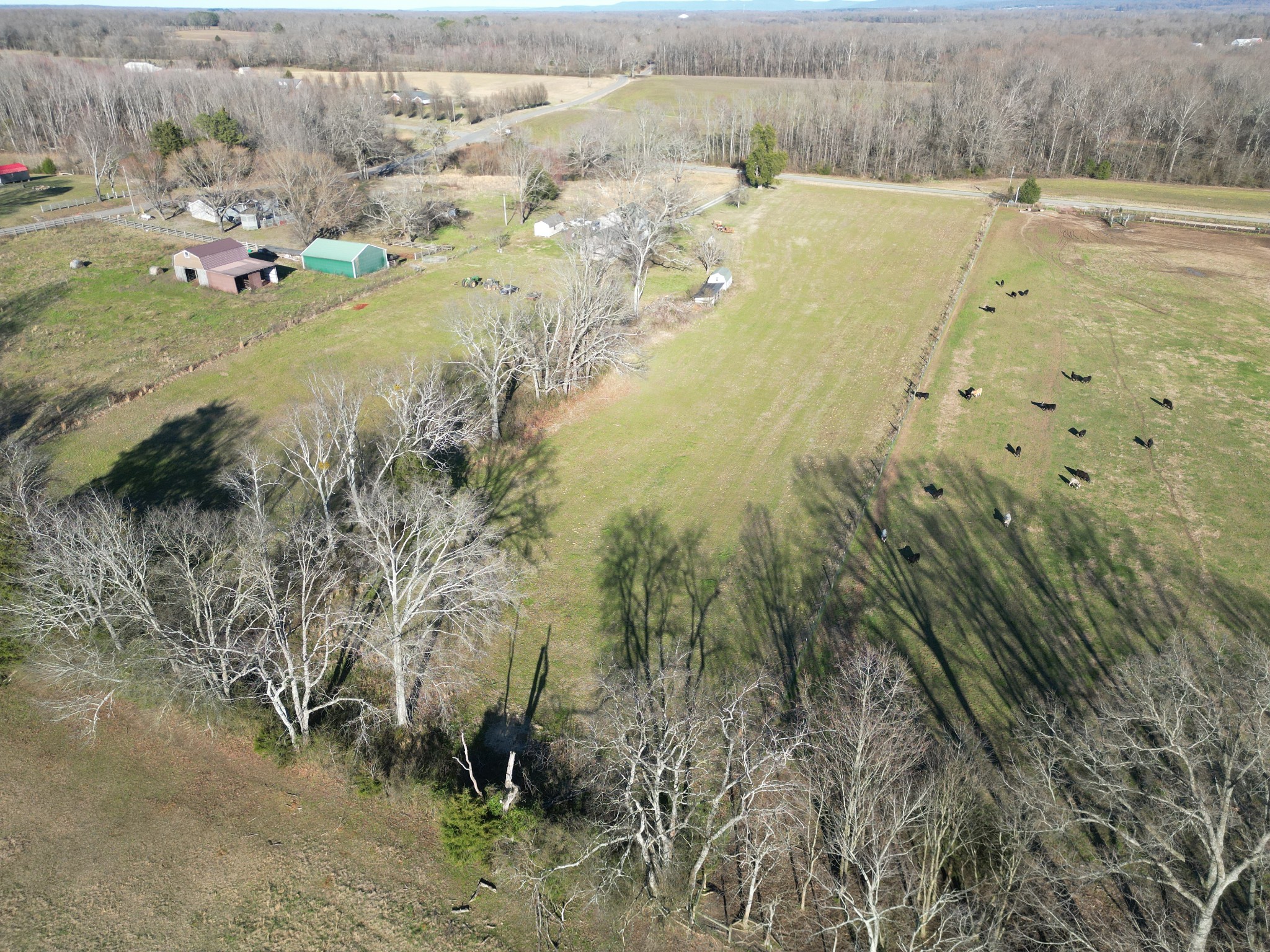 393 Mason Road Elora, TN 37328 - Photo 39 of 40