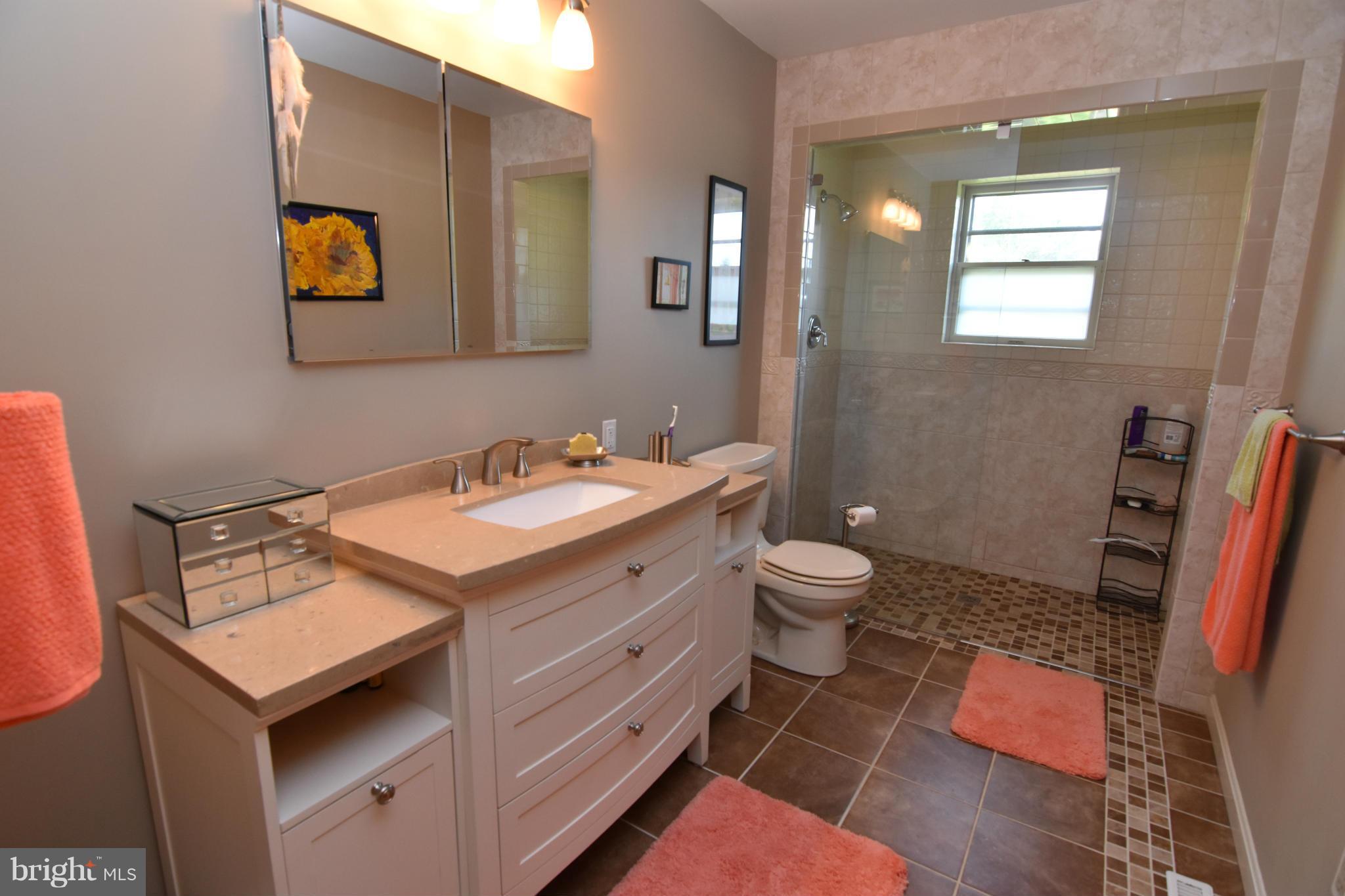 20510 Raceground Road Callaway, MD 20620 - Photo 12 of 30 a bathroom with a sink a toilet and mirror