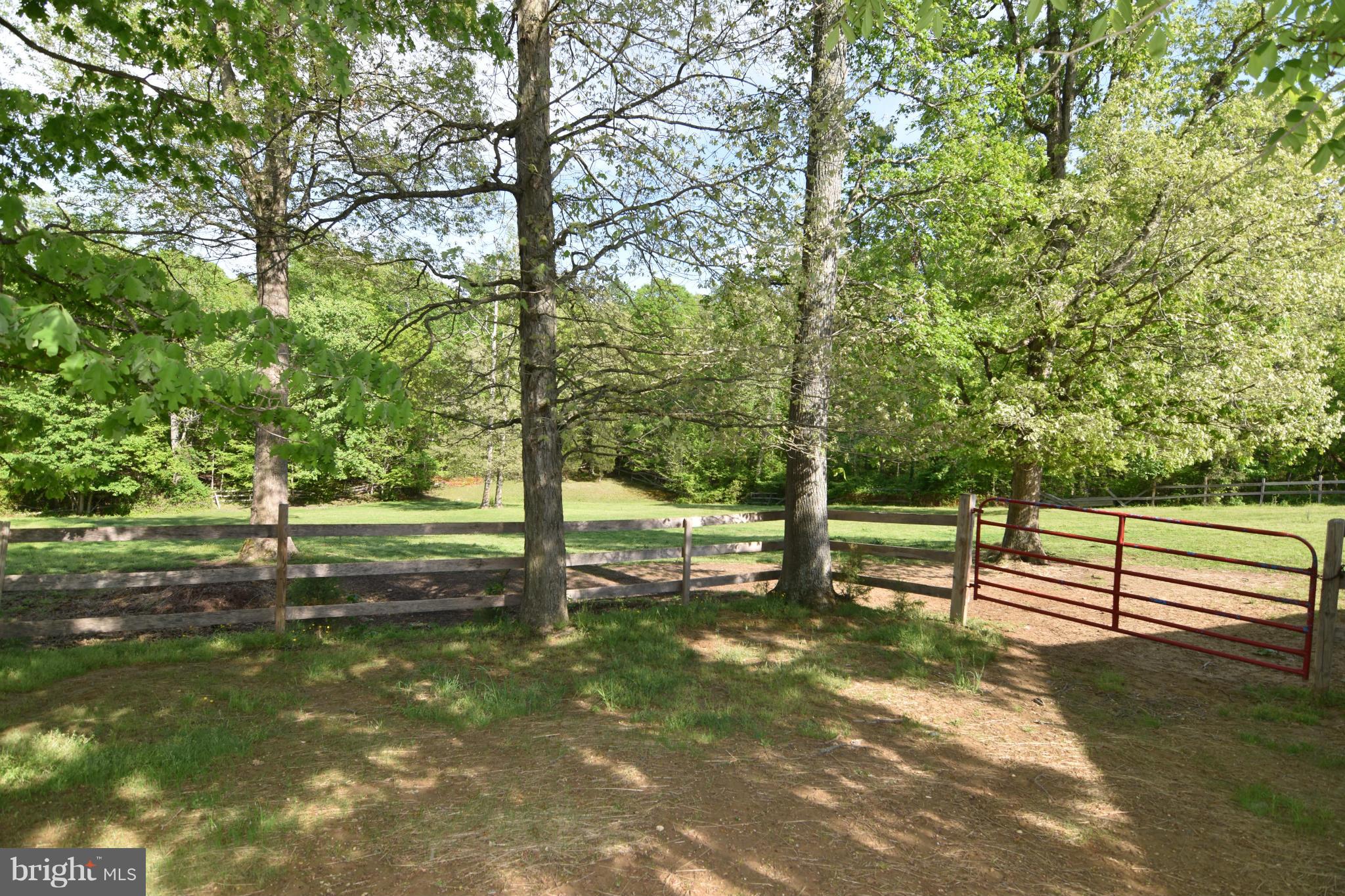 20510 Raceground Road Callaway, MD 20620 - Photo 26 of 30 a view of park with trees