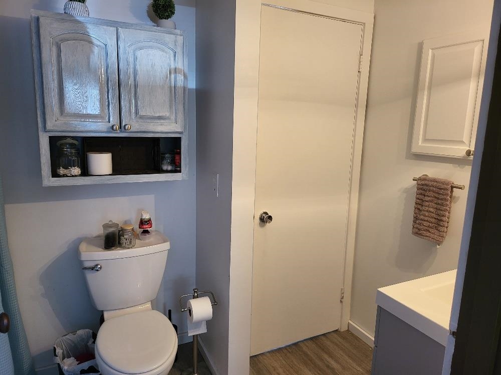 2869 Pierce Road Mio, MI 48647 - Photo 15 of 80