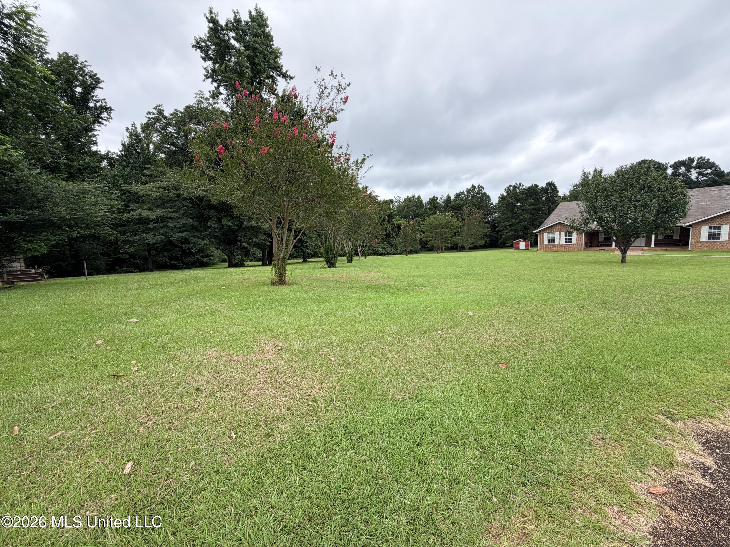 1117 Montgomery Lane Wesson, MS 39191 - Photo 7 of 62 IMG_6689