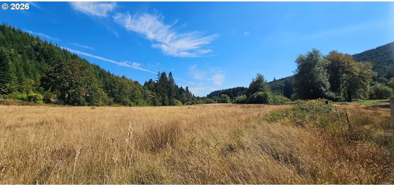0 Pittsburg Road St. Helens, OR 97051 - Photo 2 of 15 Gallery Image 2