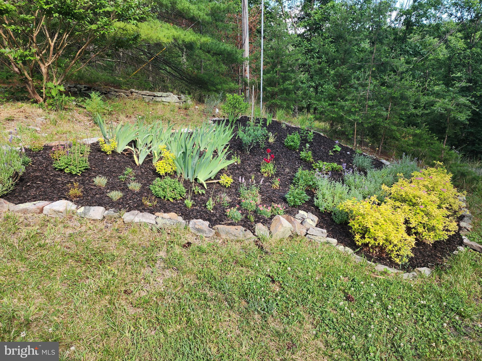 6484 Carpers Pike Yellow Spring, WV 26865 - Photo 45 of 50 Gallery Image 45