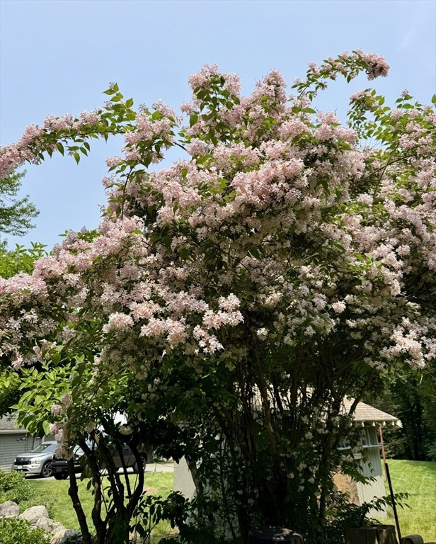 67 Lowell Street Lexington, MA 02420 - Photo 37 of 41