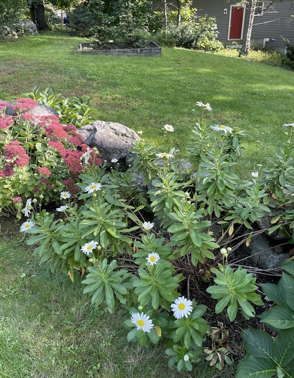 67 Lowell Street Lexington, MA 02420 - Photo 41 of 41