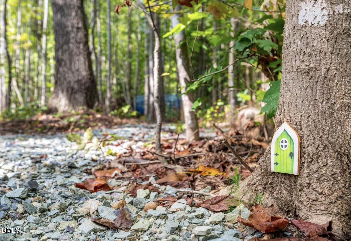 260 Stone Wall Road Pittsboro, NC 27312 - Photo 25 of 61