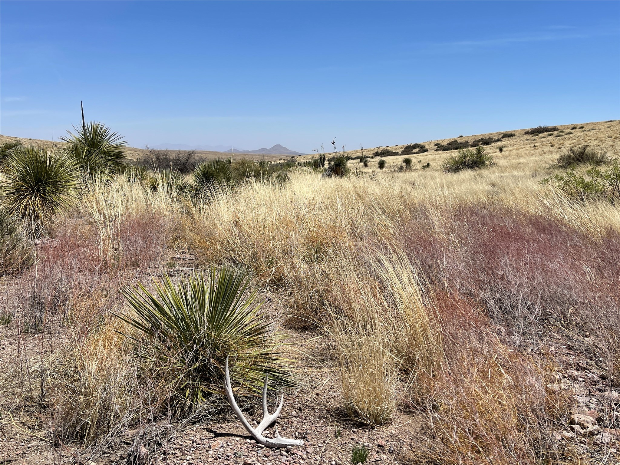 Pitchfork Pitchfork Ranch Silver City, NM 88061 - Photo 18 of 56