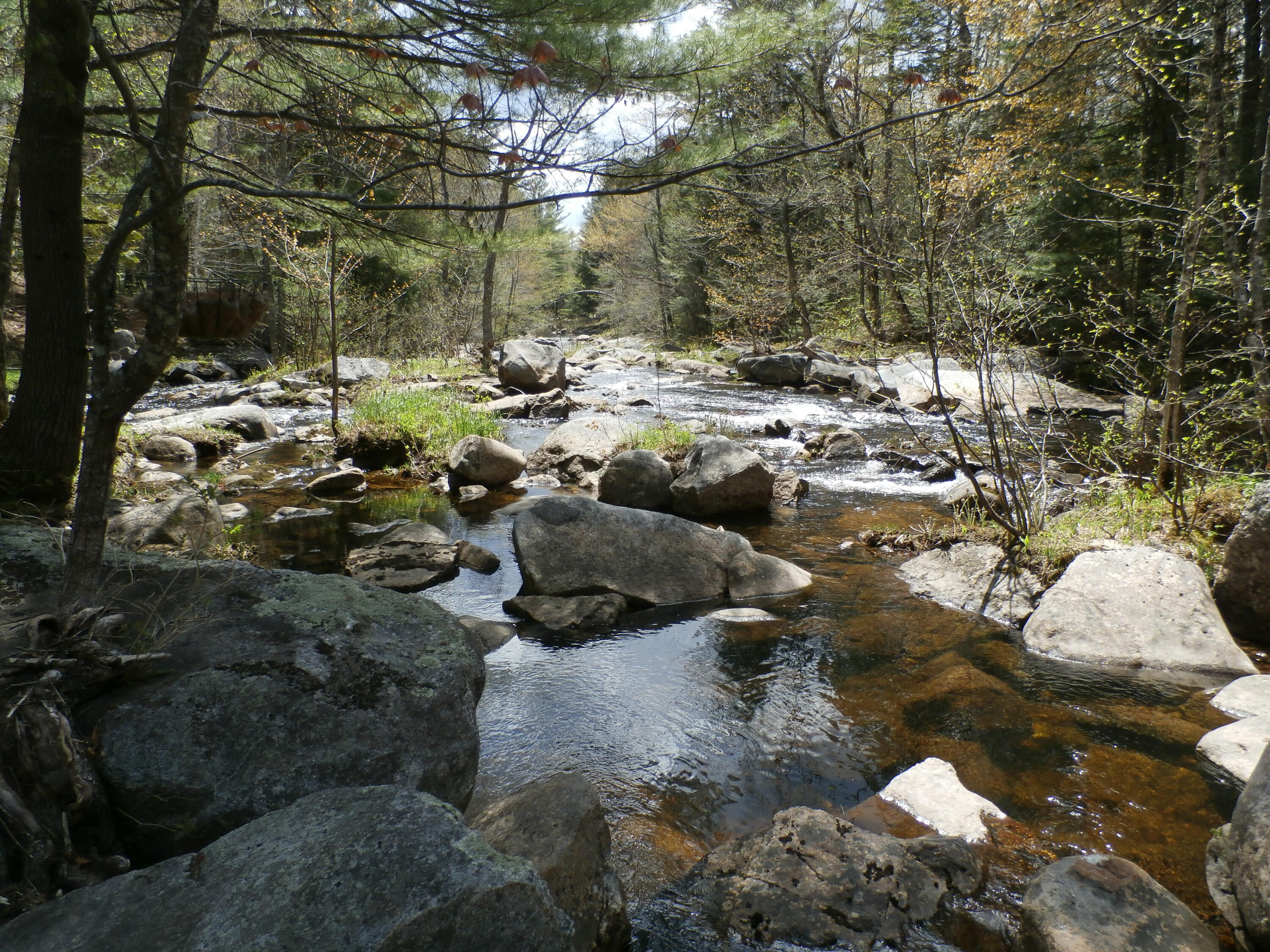 1021 South Arm Road Andover, ME 04216 - Photo 37 of 58 P5140877