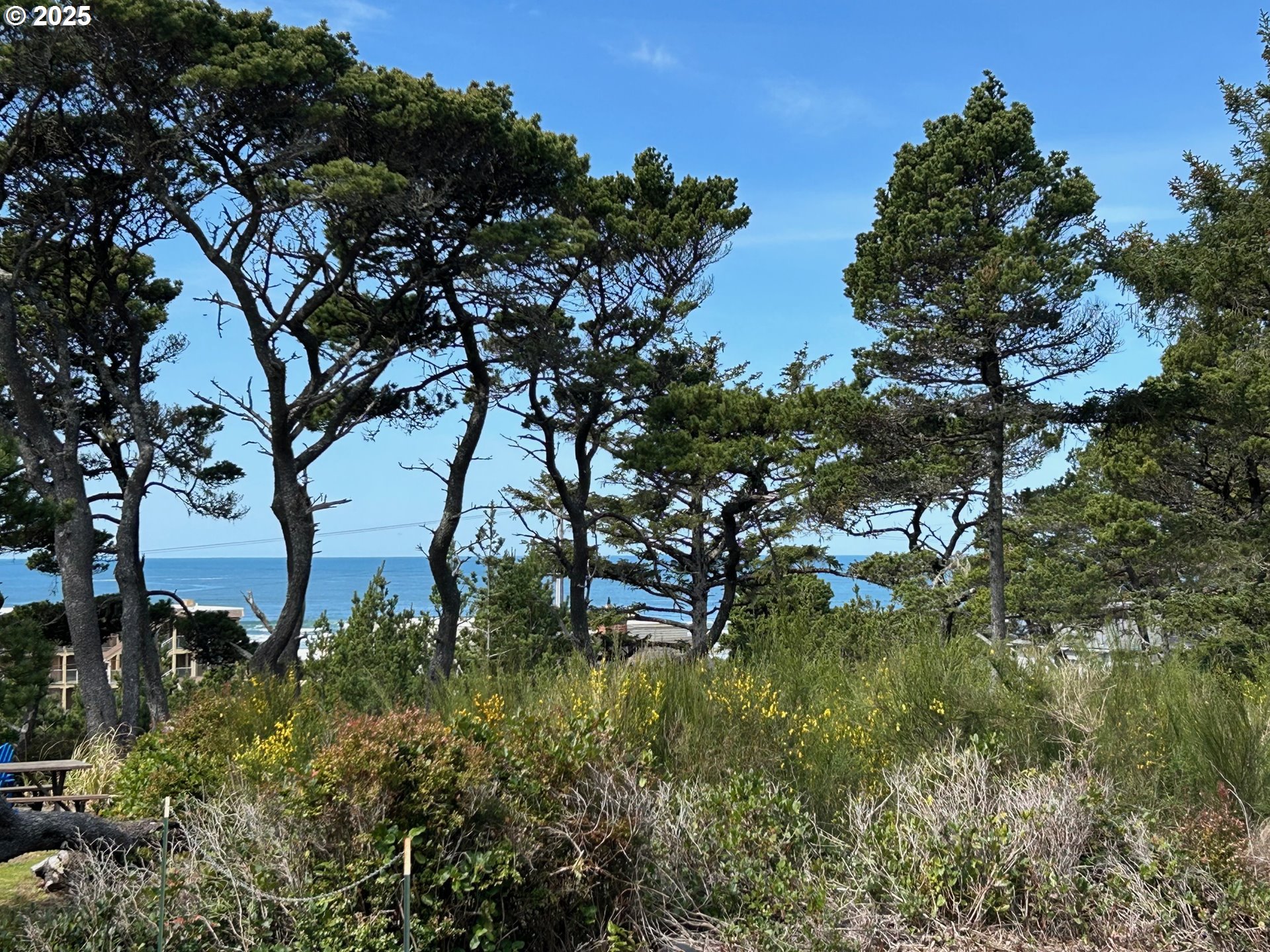 88433 2nd Avenue Florence, OR 97439 - Photo 15 of 25 a backyard of a house with lots of green space