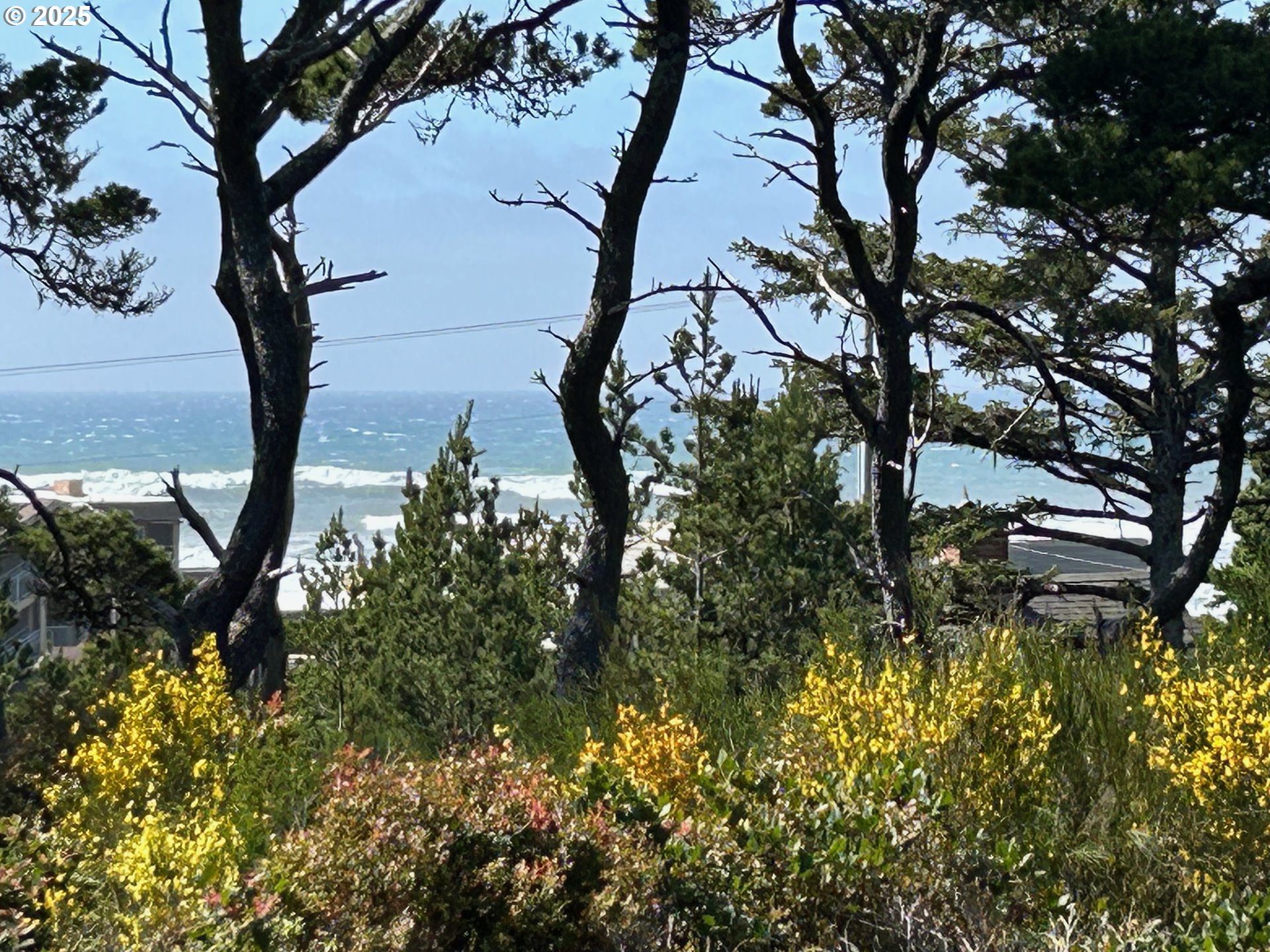 88433 2nd Avenue Florence, OR 97439 - Photo 23 of 25 a backyard of a house with lots of green space