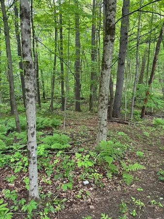 $114,500 | 0 South Royalston Road, Royalston, MA 01368