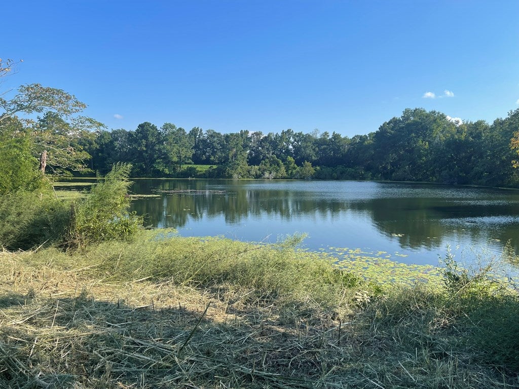 220 Dillon Road Thomasville, GA 31757 - Photo 30 of 56 Larger Pond 4+/- Acres