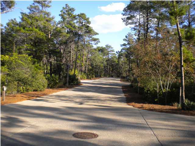 1 East Cedar Bend Road Santa Rosa Beach, FL 32459 - Photo 4 of 5 a view of street along with trees