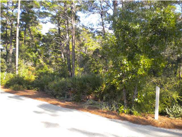 1 East Cedar Bend Road Santa Rosa Beach, FL 32459 - Photo 5 of 5 a view of a yard with plants and trees
